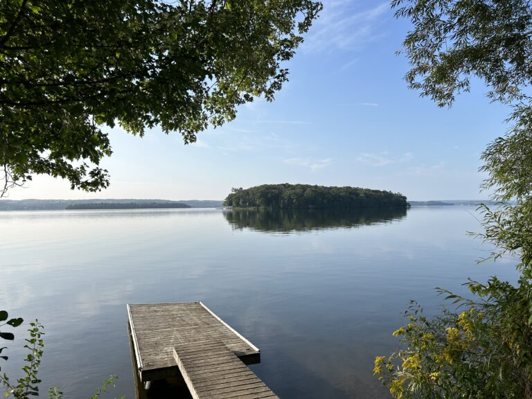 rice lake dock with a view of an island
